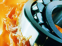  如何檢查軸承潤(rùn)化油脂是否霉變