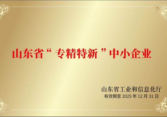 專精特新中小企業(yè)